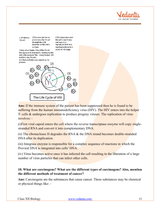 NCERT Solutions Class 12 Biology Chapter 7 - Evolution