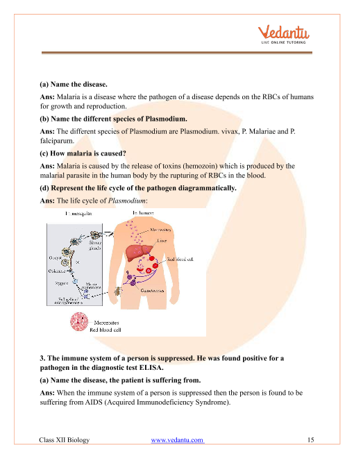 Important questions and answers of CBSE class 12 Biology