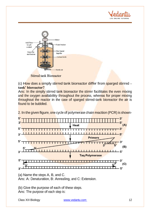 Important questions and answers of CBSE class 12 Biology