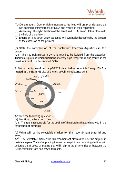 Important questions and answers of CBSE class 12 Biology