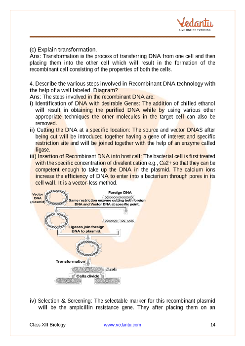 Important questions and answers of CBSE class 12 Biology