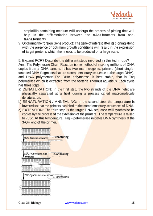 Important questions and answers of CBSE class 12 Biology