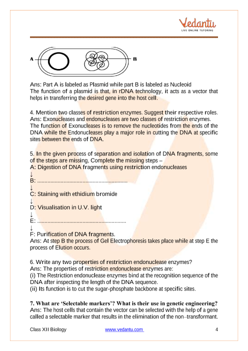 Important questions and answers of CBSE class 12 Biology