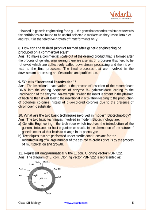 Important questions and answers of CBSE class 12 Biology