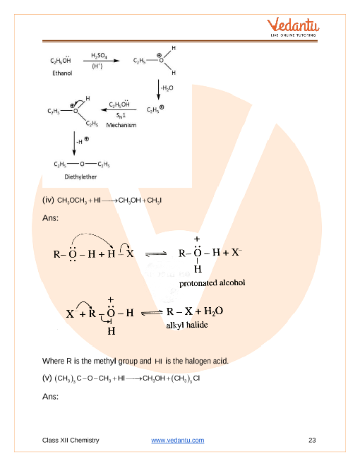 Important questions and answers of CBSE class 12 Chemistry