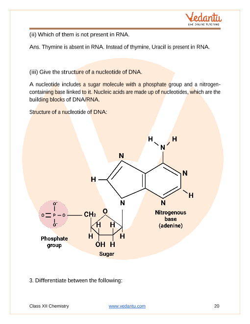 Important questions and answers of CBSE class 12 Chemistry