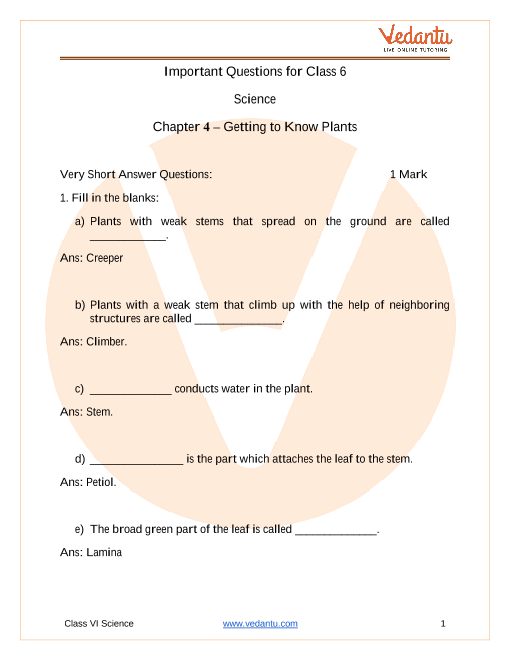 cbse class 6 science important questions for chapter 4 sorting materials into groups