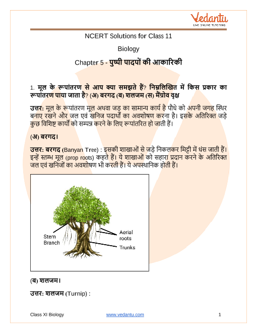 class 11 biology chapter 5 question answers in hindi