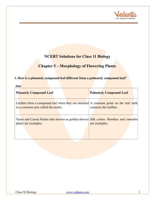 NCERT Solutions for Class 11 Biology Chapter 5 Morphology of Flowering ...