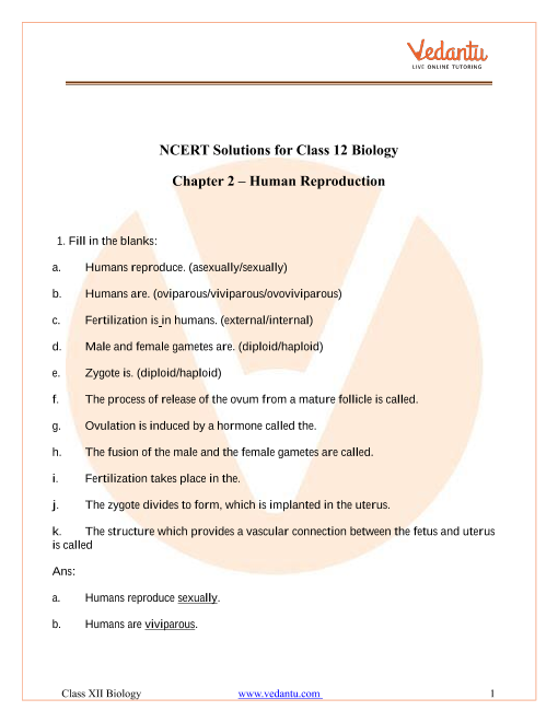 Ncert Solutions For Class 12 Biology Chapter 3 Human Reproduction Pdf Download 9708