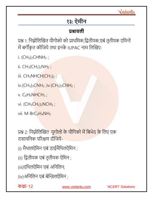 Ncert Solutions For Class 12 Chemistry Chapter 13 Amines In Hindi