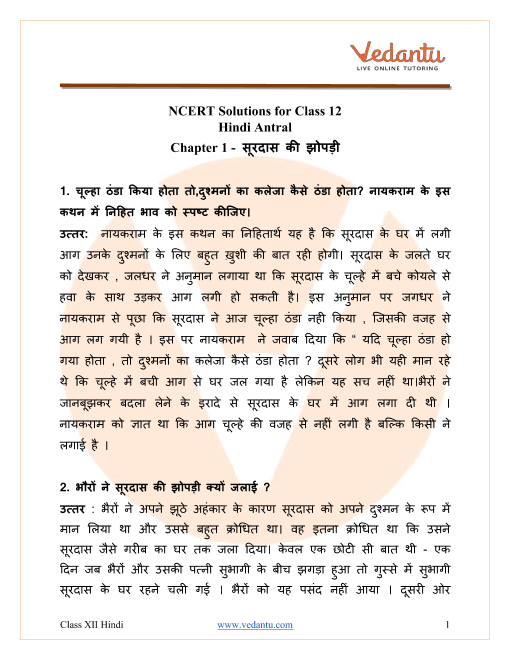 essay for class 12 in hindi