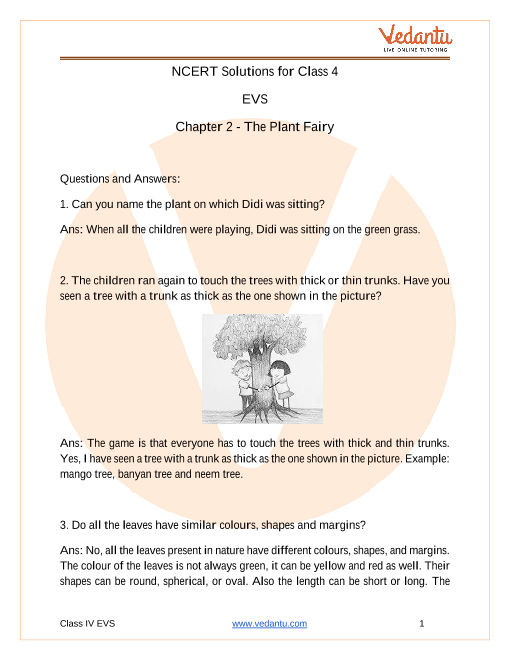 case study for class 3 evs with answers