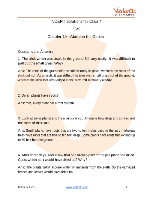 ncert solutions for class 4 evs chapter 19 abdul in the garden free pdf