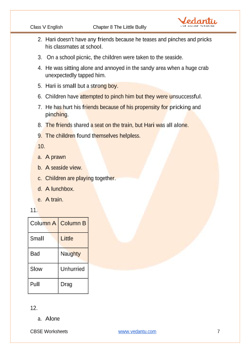 NCERT Solutions for Class 5 English Chapter 8 Nobodys Friend, The Little  Bully (PDF)