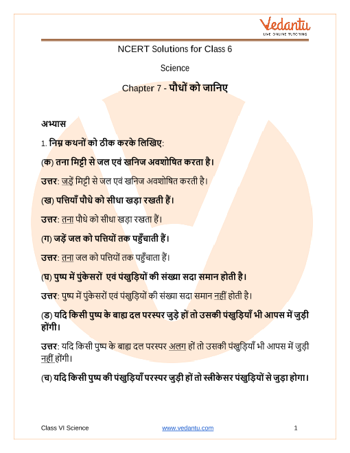 Ncert Solutions For Class 6 Science Chapter 7 Getting To Know Plants In Hindi