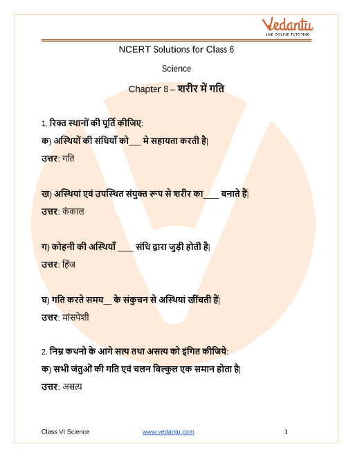 hindi ncert class 6 chapter 8 what s up google search