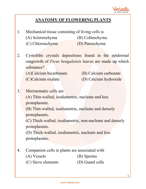 NEET Important Questions for Biology Anatomy of Flowering Plants