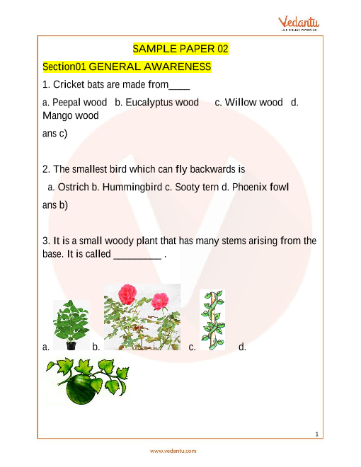 IGKO Olympiad Sample Paper 2 For Class 3 With Solutions