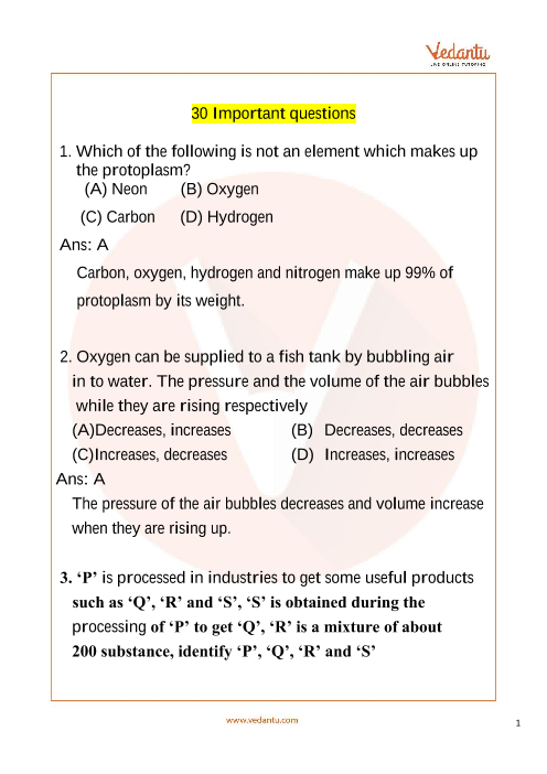 computer science olympiad questions class 8