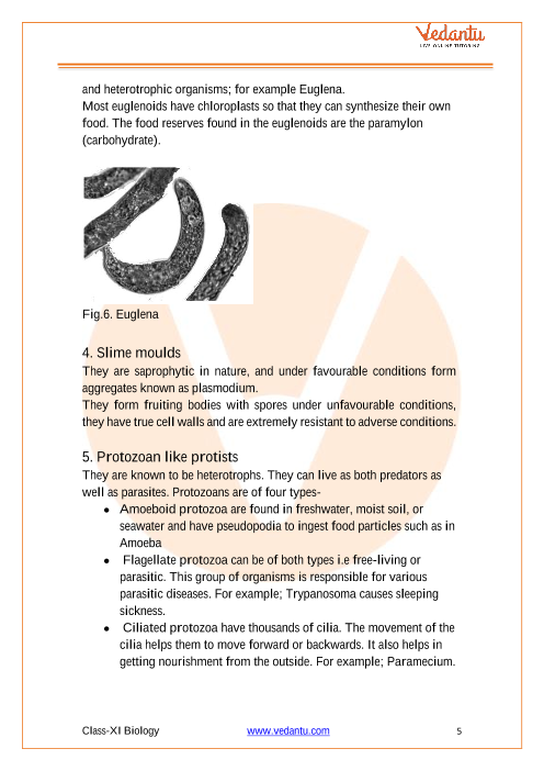 Cbse Class 11 Biology Chapter 2 Biological Classification Revision Notes