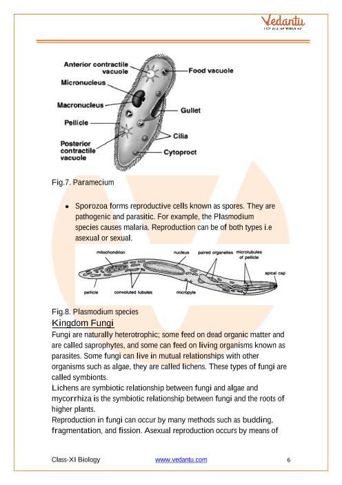 Cbse Class 11 Biology Chapter 2 Biological Classification Revision Notes