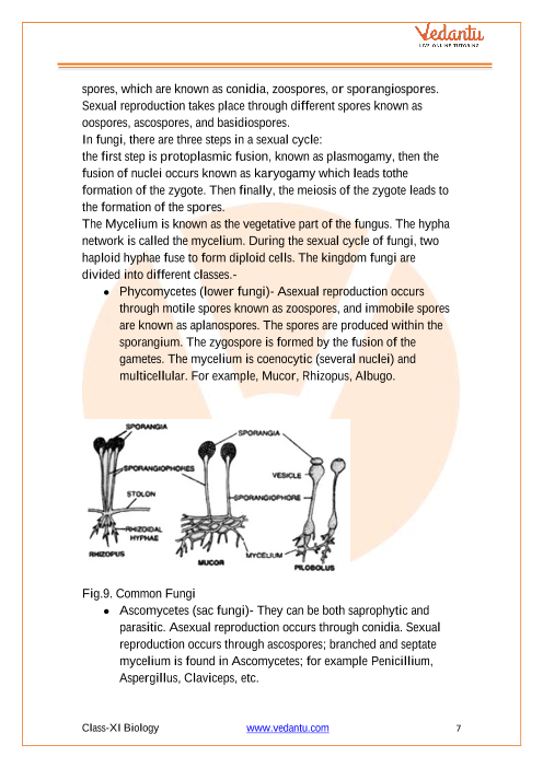 Cbse Class 11 Biology Chapter 2 Biological Classification Revision Notes