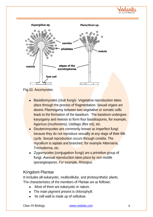 Cbse Class 11 Biology Chapter 2 Biological Classification Revision Notes