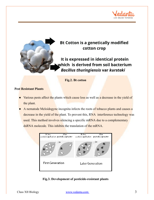 Revision Notes of CBSE class 12 Biology