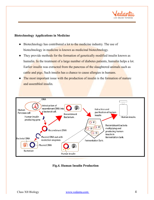 Revision Notes of CBSE class 12 Biology