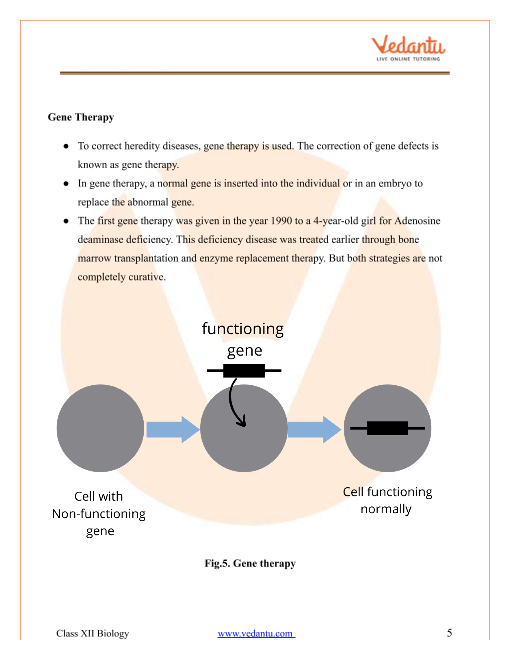 Revision Notes of CBSE class 12 Biology