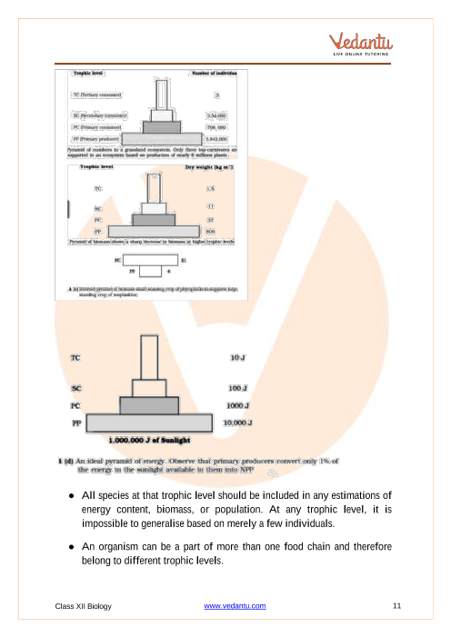 Revision Notes of CBSE class 12 Biology