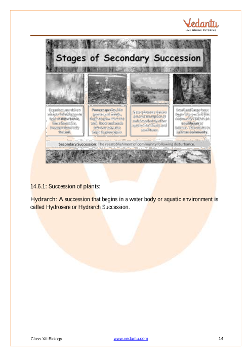 Revision Notes of CBSE class 12 Biology