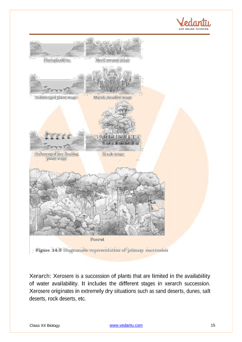 Revision Notes of CBSE class 12 Biology