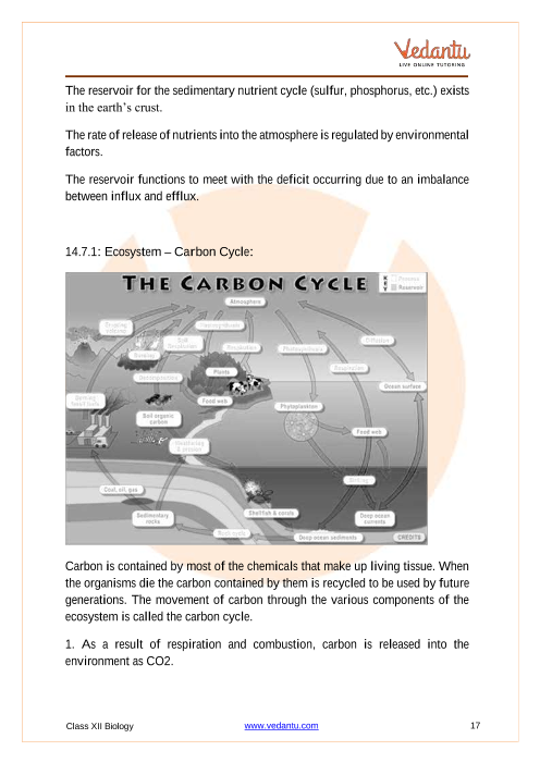 Revision Notes of CBSE class 12 Biology