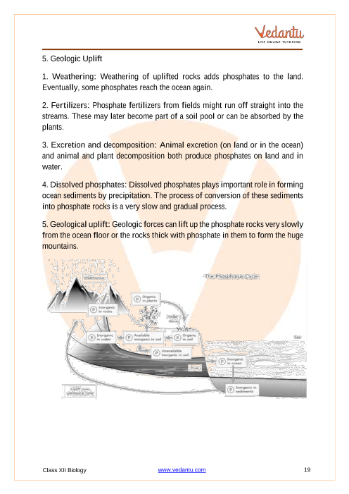 Revision Notes of CBSE class 12 Biology