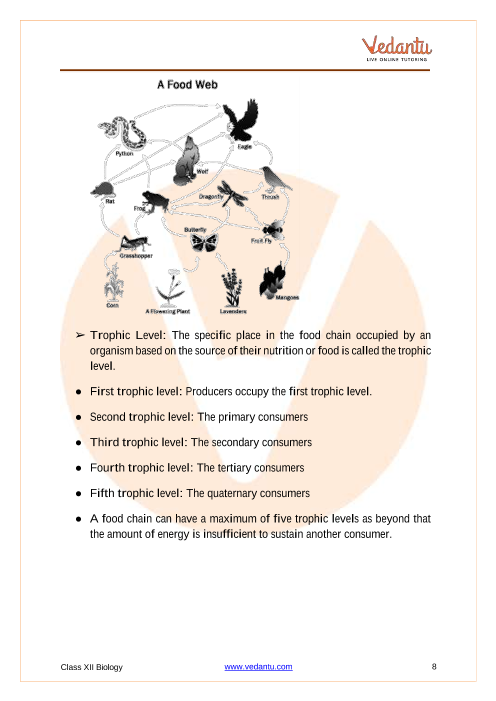 Revision Notes of CBSE class 12 Biology