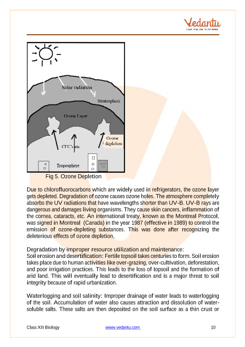 Revision Notes of CBSE class 12 Biology