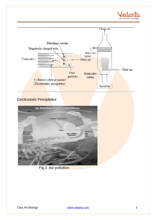 CBSE Class 12 Biology - Chapter 16 - Environmental Issues