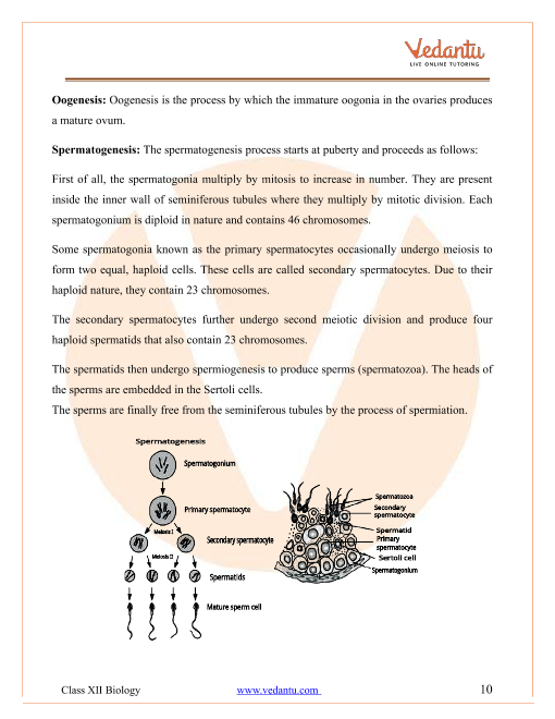 Revision Notes of CBSE class 12 Biology