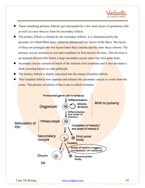 Revision Notes of CBSE class 12 Biology