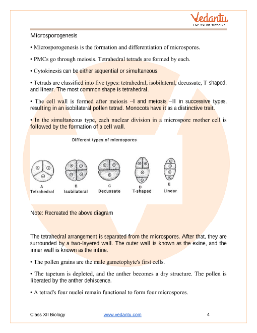 Cbse Class 12 Biology Chapter 2 Sexual Reproduction In Flowering Plants Revision Notes 2695