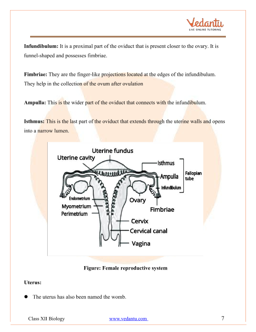 Revision Notes of CBSE class 12 Biology