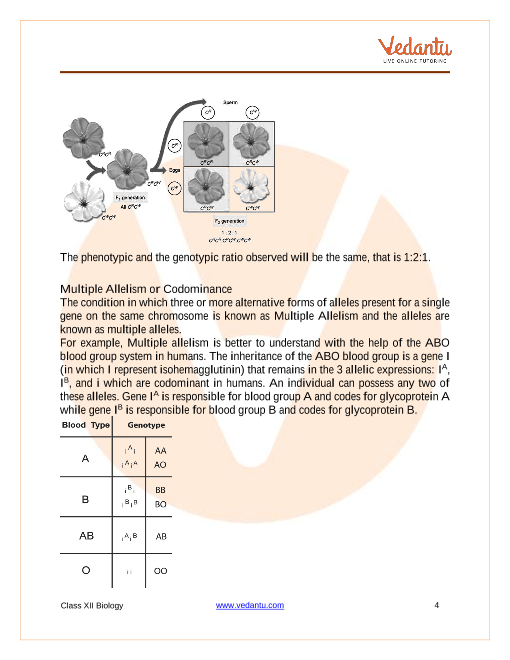 Revision Notes of CBSE class 12 Biology