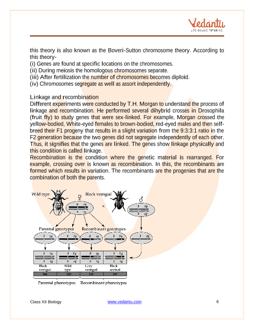 Cbse Class 12 Biology Chapter 4 Reproductive Health Revision Notes 