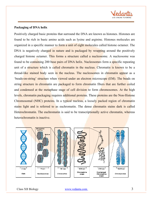 Revision Notes of CBSE class 12 Biology