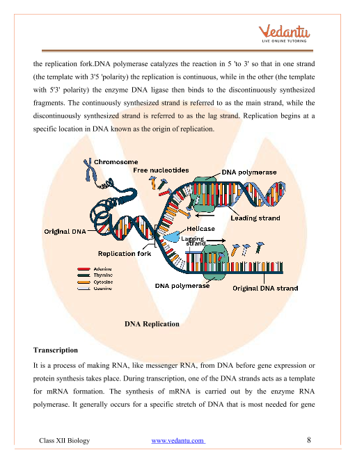 Revision Notes of CBSE class 12 Biology