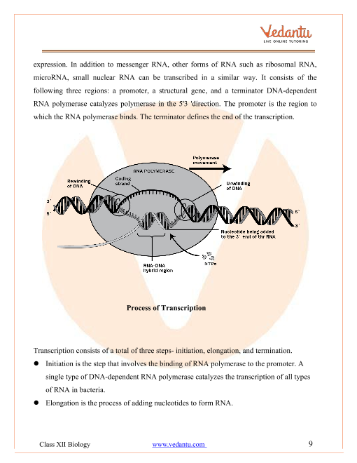 Revision Notes of CBSE class 12 Biology