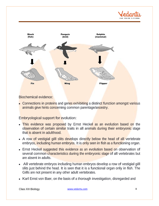 Revision Notes of CBSE class 12 Biology