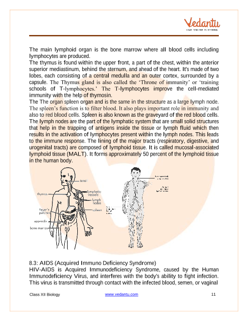 Revision Notes of CBSE class 12 Biology